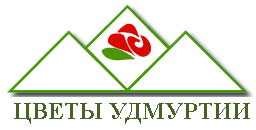 Цветы Удмуртии