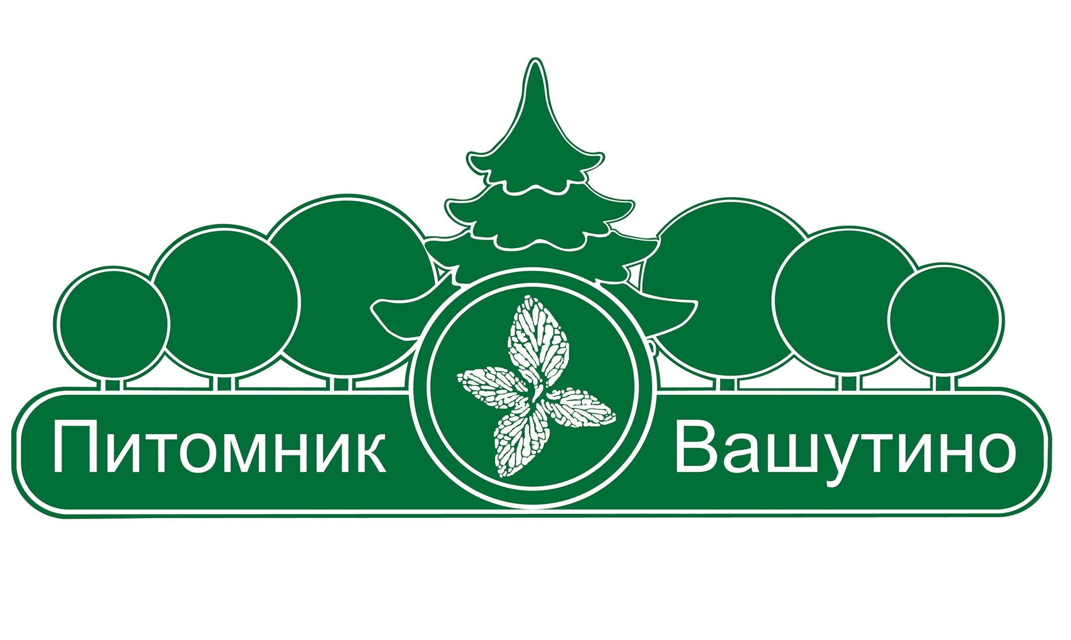 Вашутино